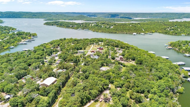 78 Free Bird Ln, Reeds Spring, MO 65737 - aerial view of a large body of water and a heavily wooded area