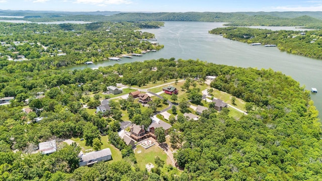 78 Free Bird Ln, Reeds Spring, MO 65737 - drone / aerial view of a nearby body of water