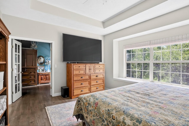 4050 W Page Pl, Springfield, MO 65802 - bedroom featuring dark wood-style floors and a tray ceiling