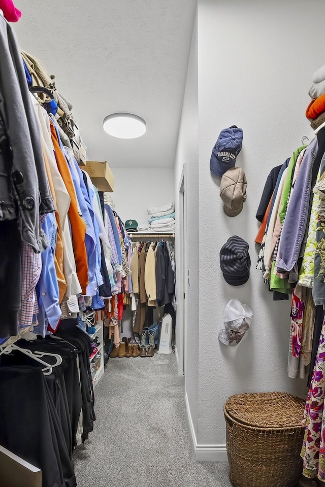 4050 W Page Pl, Springfield, MO 65802 - walk in closet with carpet flooring