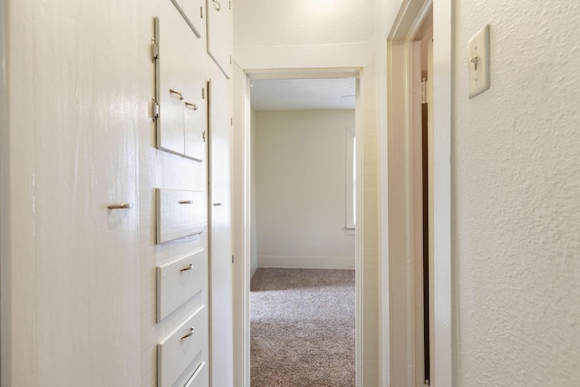 1921 W Atlantic St, Springfield, MO 65803 - hall featuring carpet flooring and a textured wall
