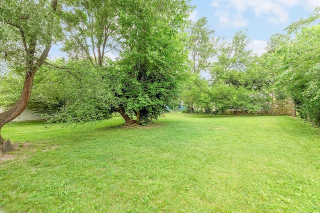 1921 W Atlantic St, Springfield, MO 65803 - view of grassy yard