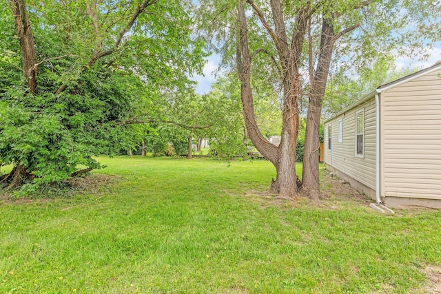 1921 W Atlantic St, Springfield, MO 65803 - view of green lawn