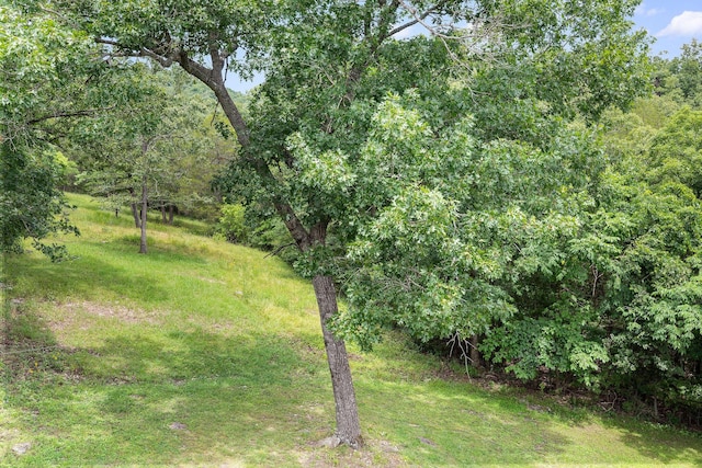 557 Weslee Ln, Galena, MO 65656 - photo 33