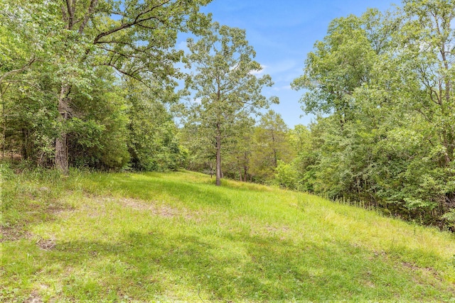 557 Weslee Ln, Galena, MO 65656 - photo 34