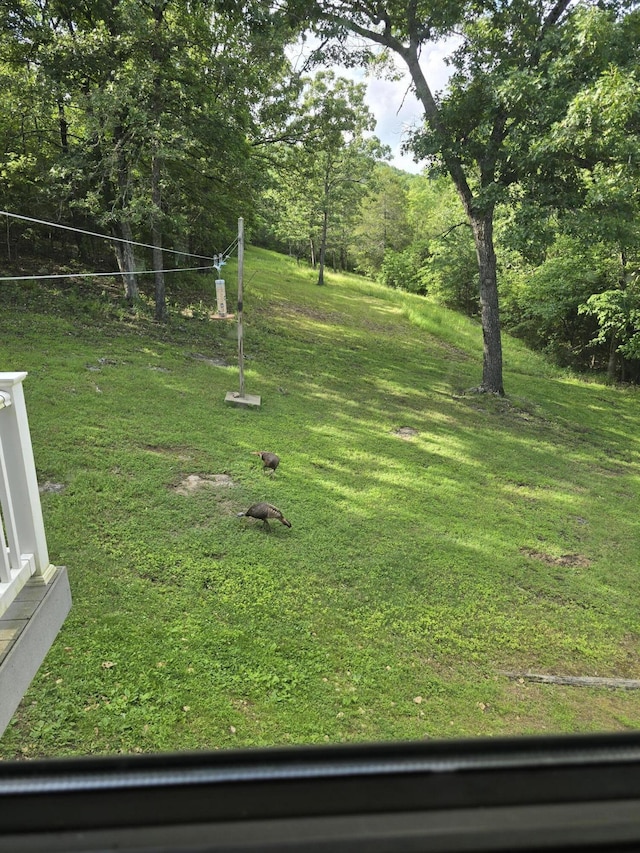 557 Weslee Ln, Galena, MO 65656 - photo 32