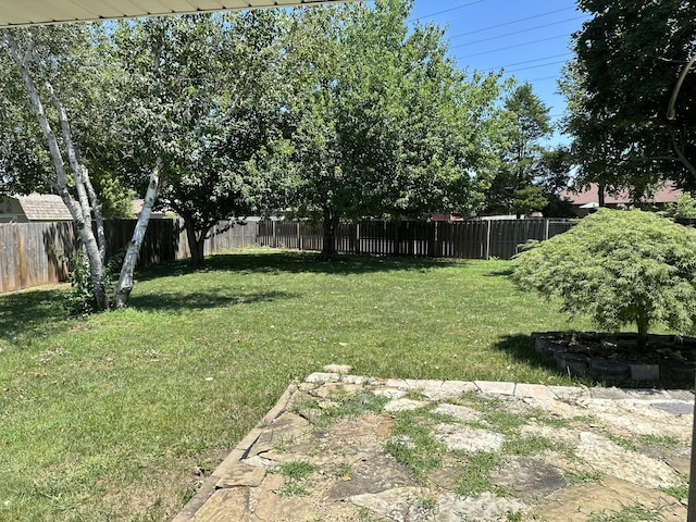 4566 S Park Ave, Springfield, MO 65810 - photo 31