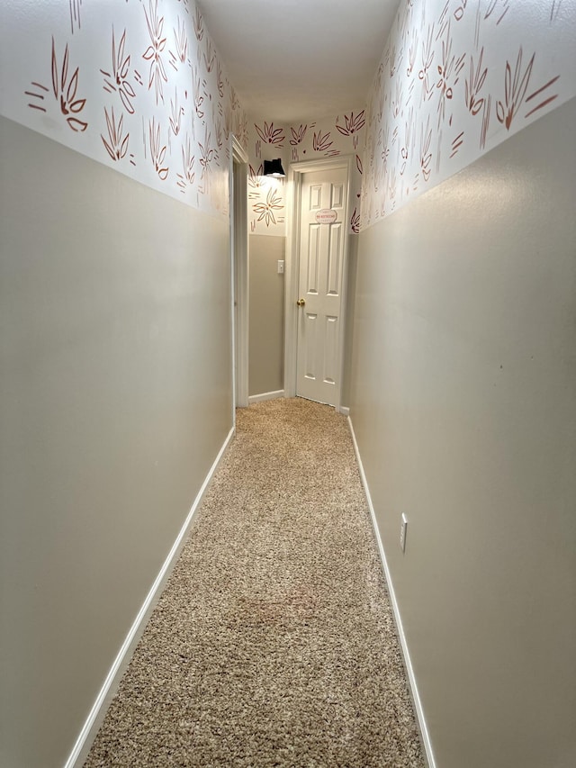 4566 S Park Ave, Springfield, MO 65810 - photo 24