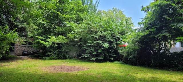 1305 S Kimbrough Ave, Springfield, MO 65807 - view of grassy yard