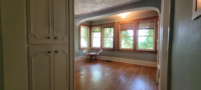 1305 S Kimbrough Ave, Springfield, MO 65807 - interior space with arched walkways and wood-type flooring