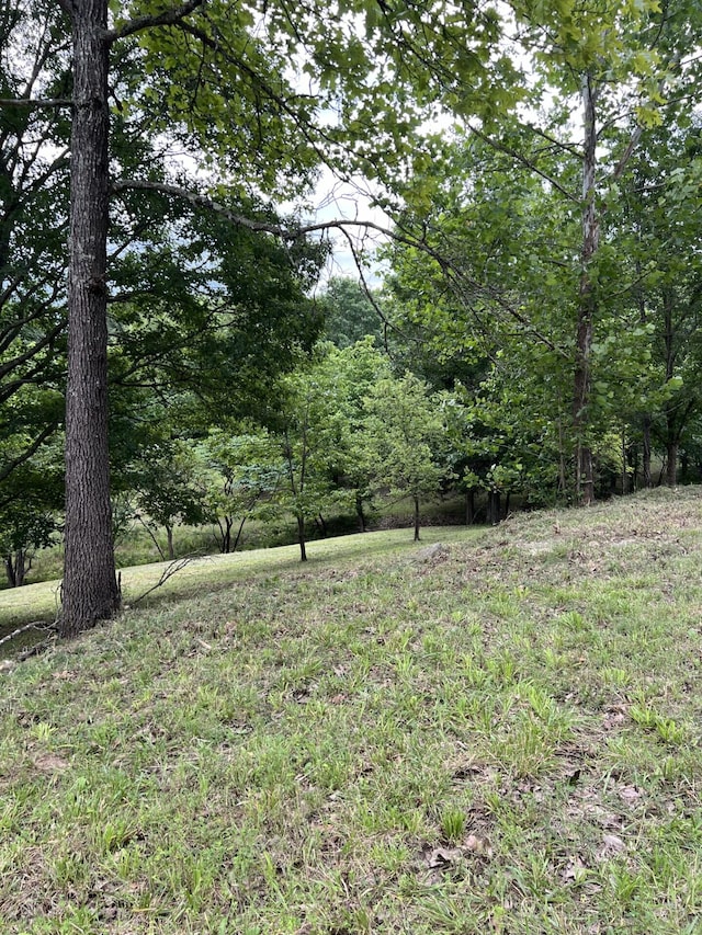 000 Vin Villa, Forsyth, MO 65653 - photo 14
