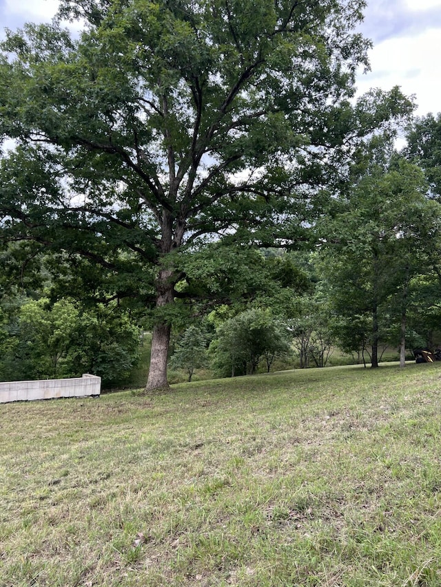 000 Vin Villa, Forsyth, MO 65653 - photo 5
