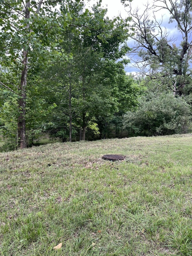 000 Vin Villa, Forsyth, MO 65653 - photo 16