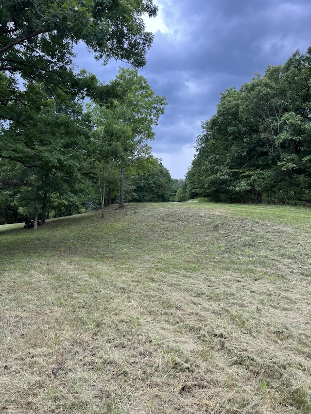 000 Vin Villa, Forsyth, MO 65653 - photo 1