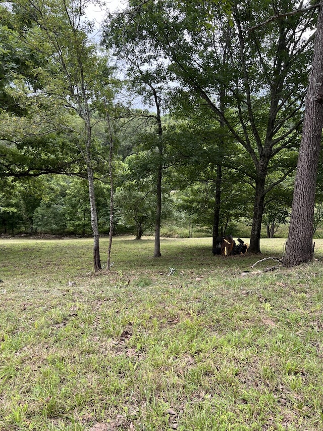 000 Vin Villa, Forsyth, MO 65653 - photo 15
