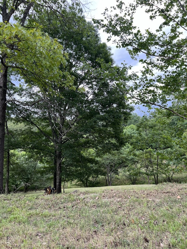 000 Vin Villa, Forsyth, MO 65653 - photo 3
