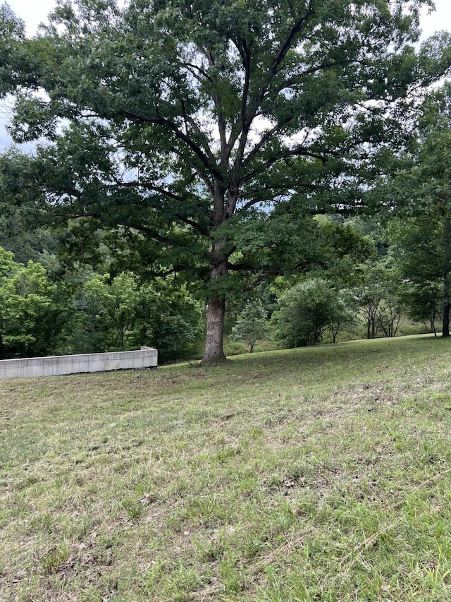 000 Vin Villa, Forsyth, MO 65653 - photo 6