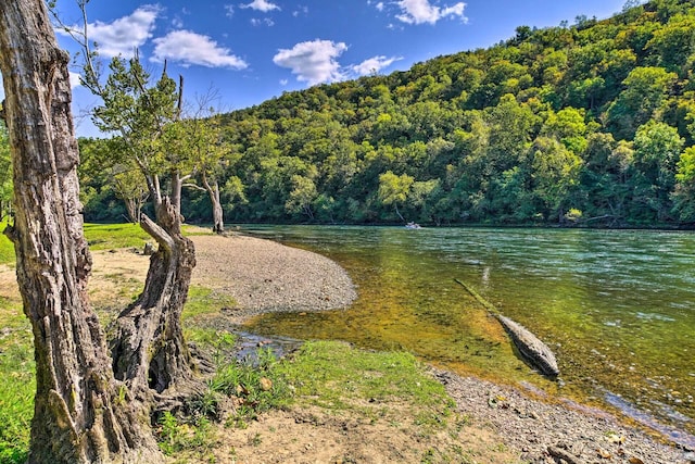 366 Wimbledon Dr Unit 4, Branson, MO 65616 - water view featuring a heavily wooded area