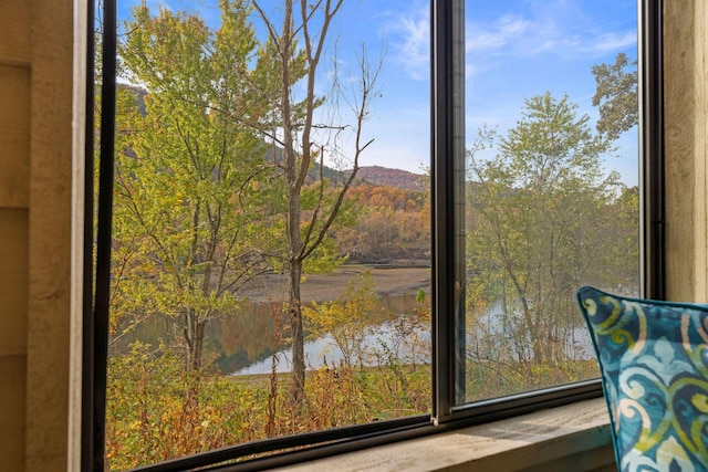 366 Wimbledon Dr Unit 4, Branson, MO 65616 - water view featuring mountains
