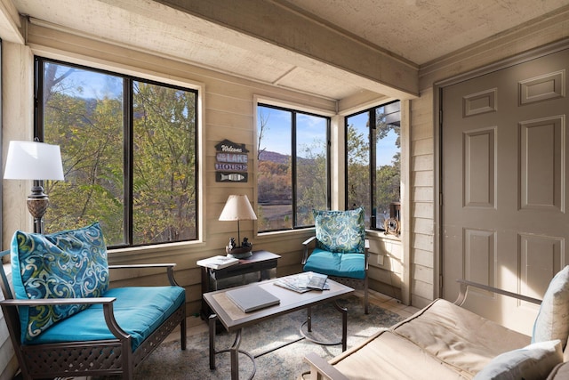 366 Wimbledon Dr Unit 4, Branson, MO 65616 - view of sunroom / solarium