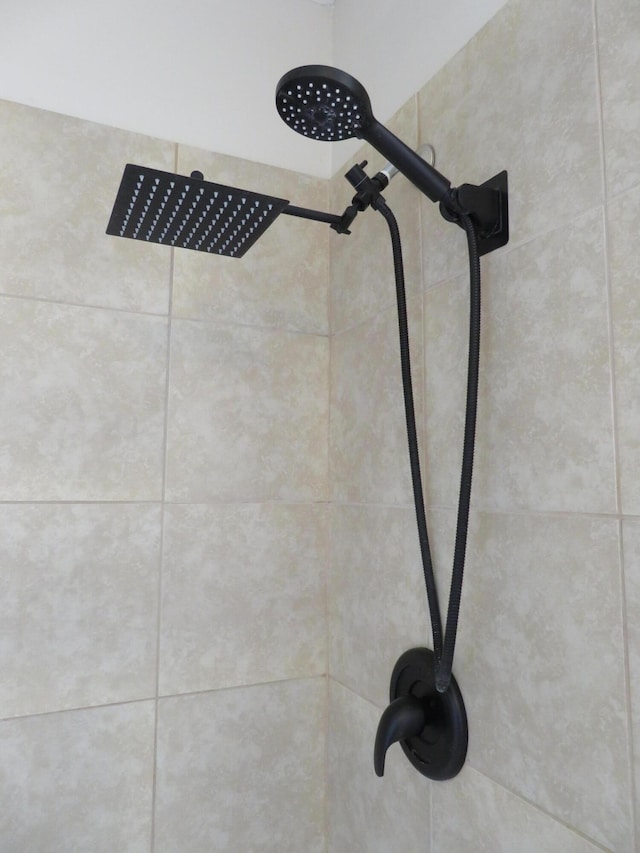 1007 E Parkview St, Ozark, MO 65721 - bathroom view of tiled shower