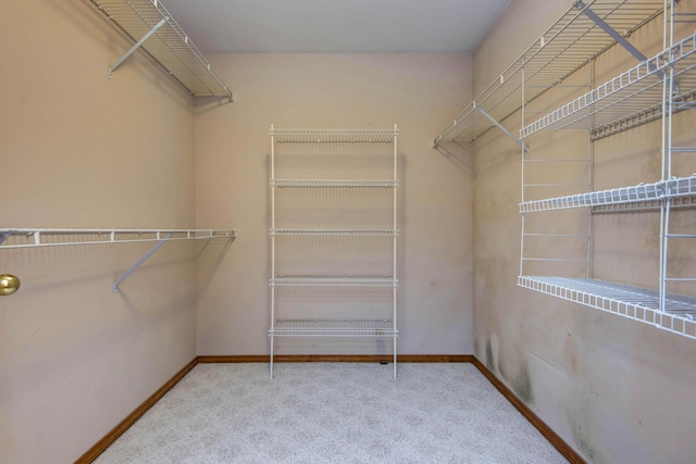 1030 Harris Blvd, Ozark, MO 65721 - walk in closet with carpet flooring