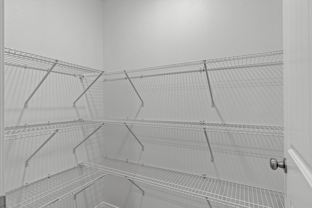 200 E Rosalie St, Strafford, MO 65757 - view of spacious closet