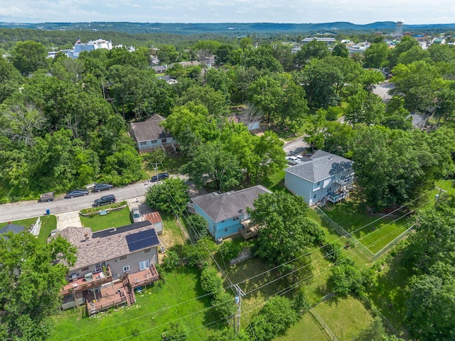 1813 Boswell Ave, Branson, MO 65616 - aerial view