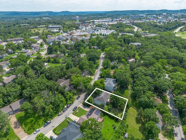 1813 Boswell Ave, Branson, MO 65616 - view of property location featuring property boundaries highlighted