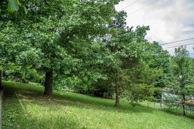 1813 Boswell Ave, Branson, MO 65616 - view of yard