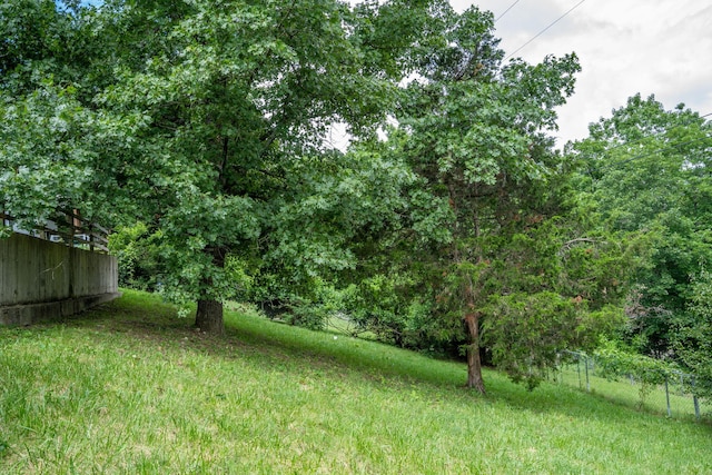 1813 Boswell Ave, Branson, MO 65616 - view of yard