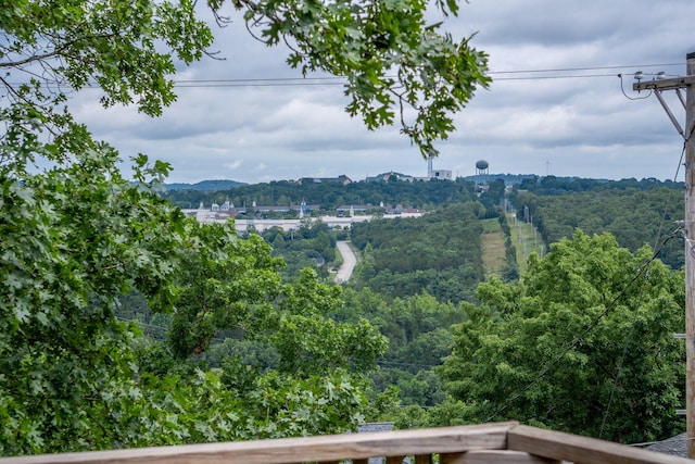1813 Boswell Ave, Branson, MO 65616 - view of mountain background