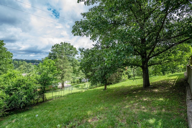 1813 Boswell Ave, Branson, MO 65616 - view of yard