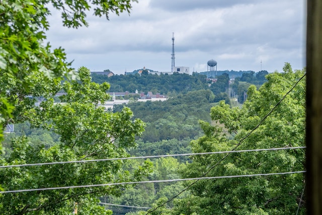 1813 Boswell Ave, Branson, MO 65616 - view of mountain background