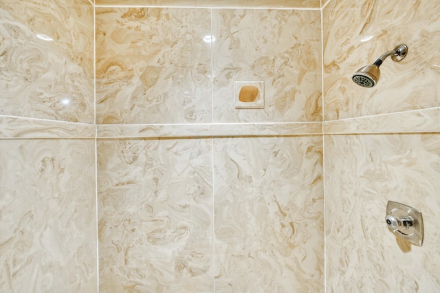 636 Crader Ct, Springfield, MO 65802 - bathroom view of a tile shower