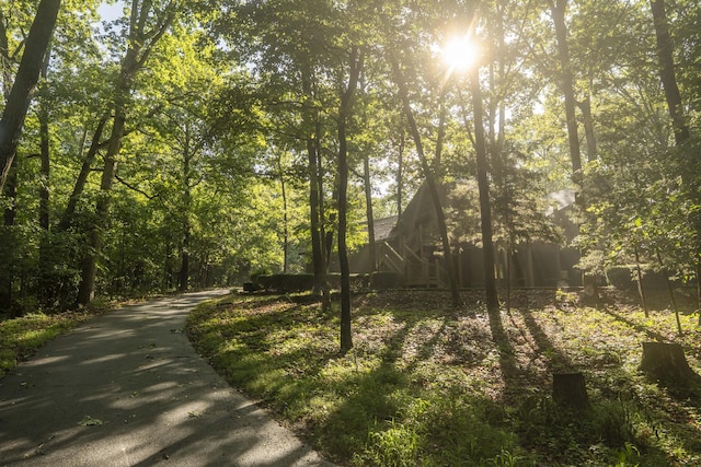 636 Crader Ct, Springfield, MO 65802 - view of road with a forest view