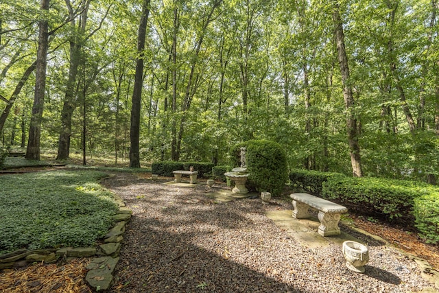 636 Crader Ct, Springfield, MO 65802 - view of yard featuring a forest view