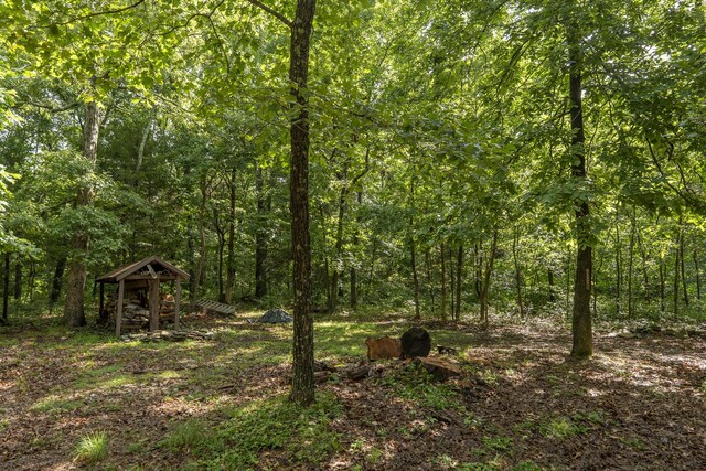 636 Crader Ct, Springfield, MO 65802 - view of woods