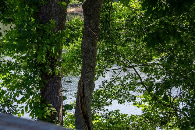 440 Fall Creek Dr Unit 7, Branson, MO 65616 - water view