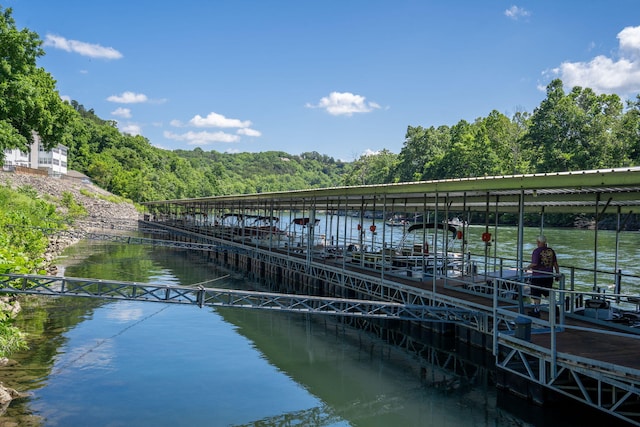 440 Fall Creek Dr Unit 7, Branson, MO 65616 - dock area featuring a water view and a view of trees