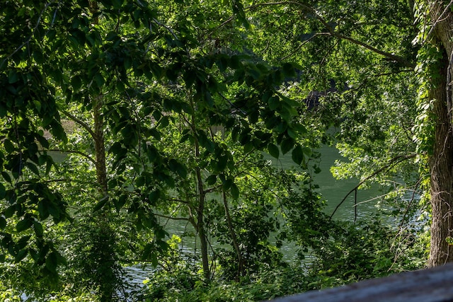 440 Fall Creek Dr Unit 7, Branson, MO 65616 - view of local wilderness