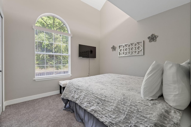 530 Abby Ln Unit 5, Branson, MO 65616 - bedroom featuring multiple windows, vaulted ceiling, and carpet floors