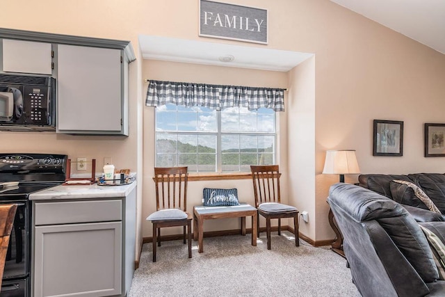 27 Blue Bird Way Unit 5, Branson, MO 65616 - living area with light carpet and baseboards