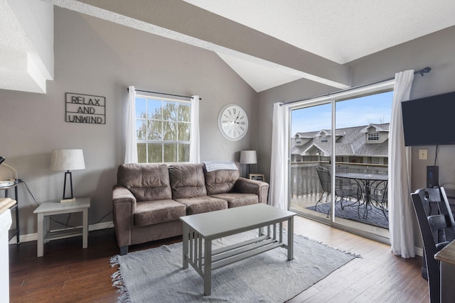 1 Memory Ln Unit 5, Branson, MO 65616 - living room featuring lofted ceiling and hardwood / wood-style flooring
