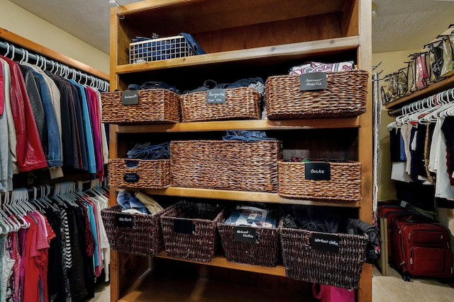 3449 S Woodstock Dr, Springfield, MO 65809 - view of walk in closet