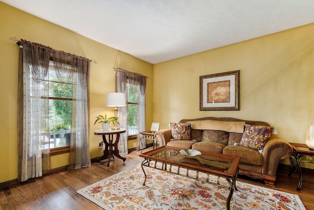 3449 S Woodstock Dr, Springfield, MO 65809 - living room featuring wood finished floors