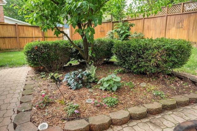 3449 S Woodstock Dr, Springfield, MO 65809 - view of fenced backyard