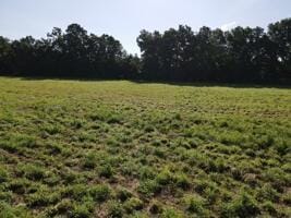 0000 S 47th Rd, Dunnegan, MO 65640