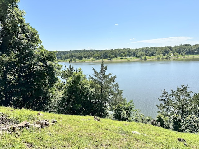 25419 County Road 327, Urbana, MO 65767 - water view featuring a heavily wooded area