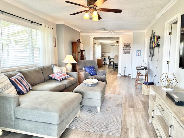 25419 County Road 327, Urbana, MO 65767 - living area featuring ceiling fan, a textured ceiling, light wood-style flooring, and ornamental molding